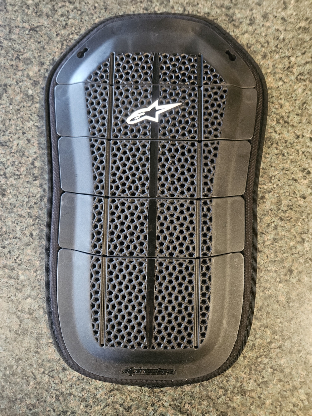 Alpinestars Bionic Back Insert Air